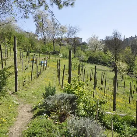 Tre Querce * Montaldo Bormida